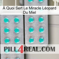 À Quoi Sert Le Miracle Léopard Du Miel 29